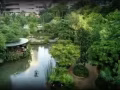 近实龙岗MRT豪华公寓普通房出租（包 水+电+网）