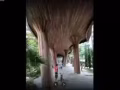 近實龍崗MRT豪華公寓普通房出租（包 水+電+網）