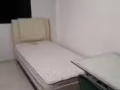 文礼 St65Blk 671 男搭房350 即可入住电96216205  谢小姐