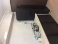 蔡厝港近地鐵三分鐘招男/女搭房床位出租，水電網冷氣全包