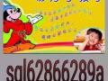 寄宿,托管,专业䃼习