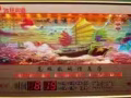 全新万年历，各种款式，便宜处理，联系电话 83466782 郑