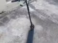 二手八寸八成新电动滑板车