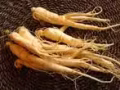 中國長白山特產 人參 鹿茸 山野菜 代購 中國長白山發貨 微信a11200898
