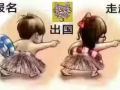 各種司機單子，薪水高加薪快，想看更多加我詳談，微信2444716166