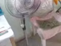 全套家电便宜出售 （Whole set home Electro-Applian