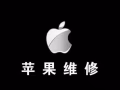 专业维修手机苹果电话【原装正品 专业维修 现场维修 质量保证90610535