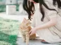新加坡中介，費用不超過兩萬，辦理快，有保障，微信1908409218