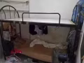 出售雙層單人床   Sale of some bunk single beds