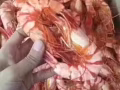 零售國內海鮮乾貨