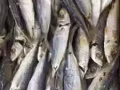 零售国内海鲜干货