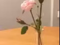 单间出租