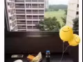 義順大牌386乾淨普通房出租