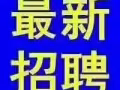 正规公司收费低 每天大量新单 详情微信了解HY102688888