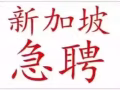 新加坡勞務工作--司機類