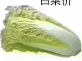 夫妻房 单间 金文泰西海岸大牌722 班丹花园大牌403 可以报地址 