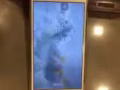 蘋果6S plus 64G