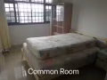 港湾/直落布阑雅高层组屋普通房