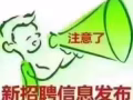 2月9日当天  最新销售文职类订单   微信 006584508359