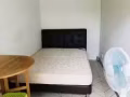 淡滨尼11街有&女/&男搭房，或独立小单间出租:电话:8208-0208