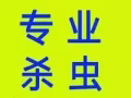 专业团对机器杀虫！蚂蚁，白蚂蚁！蜱虫杀绝后付款！！批发杀虫药全岛价格最低！ 