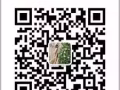 英文课程，时间灵活，学费便宜