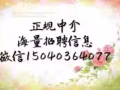 歐洲芬蘭廚師   正規簽證！可以移民！想要去歐洲的看過來