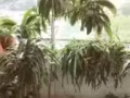 Clementi高层带单独专属卫浴普通房出租——超高性价比超近地铁超近NUS国大