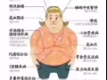 酥卡减脂饼干