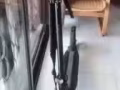 (急）MOBOT折叠滑板车
