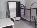 超級乾淨女床位出租