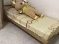 近中央醫院，中巴魯超大普通房招搭房，或整租。
