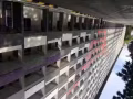 近牛车水地铁站五分钟有整套房子出租，大牌201学生公寓，现在满员。有有意向的电话