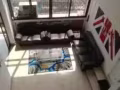稀缺房源陈笃生医院旁，步行5分钟诺维娜地铁站主人房、普通房、单人间出租