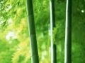 找换工作我们是认真的，微信:ls7347086