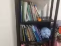 家具處理