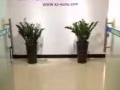 中国到新加坡海运，家具，淘宝商品送货到门380RMB
