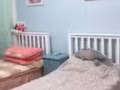 馬林百列找女搭房