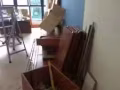 拆拆～专业拆隔间，衣橱，各种家具，包丢垃圾服务，价格低，服务好。82871052