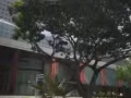 钱多   速来吧    错过就不在了+wx431033969