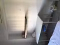 文禮地鐵站附近有普通房出租
