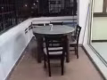 诺维纳男女搭房招租