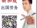专业办理新加坡工作，您想要的工作我都有，快来咨询 微信464900307