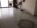 Balestier apartment,no agent free,$2600