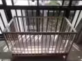 出一個嬰兒床