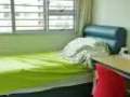 Clementi ridges高楼刚装修，家居床全新， 单间房出租