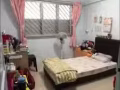 全新装修,马西岭大牌437,只限女房客。