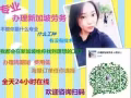 新加坡人力部 面向全国招聘 免费咨询微信；milu999777