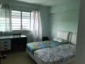Blk965 靠近先驱地铁站及南大的一间大普通房出租