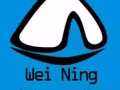 中国~新家坡双向专线物流
